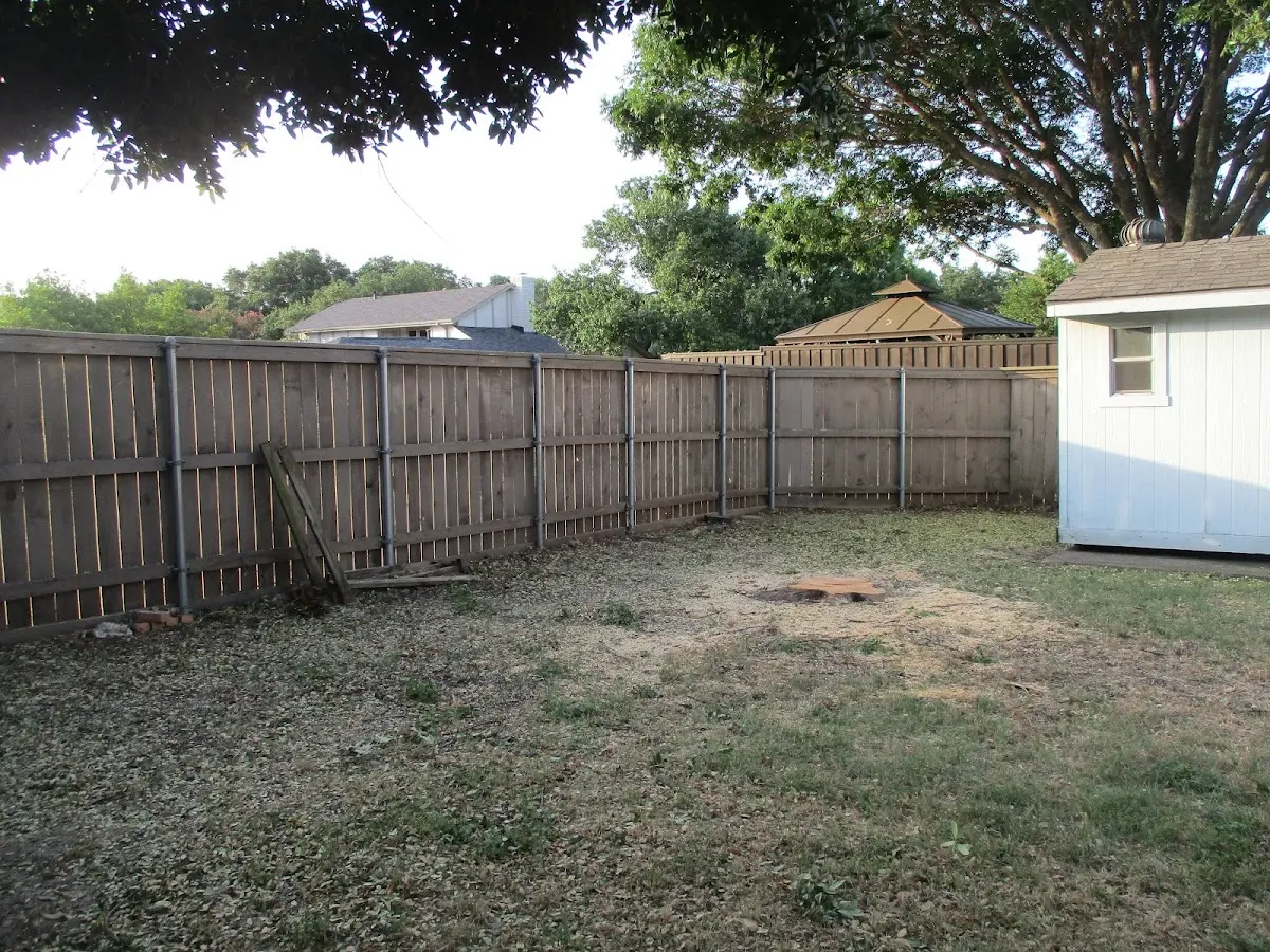 Cleared yard after professional tree removal in Bloomsbury