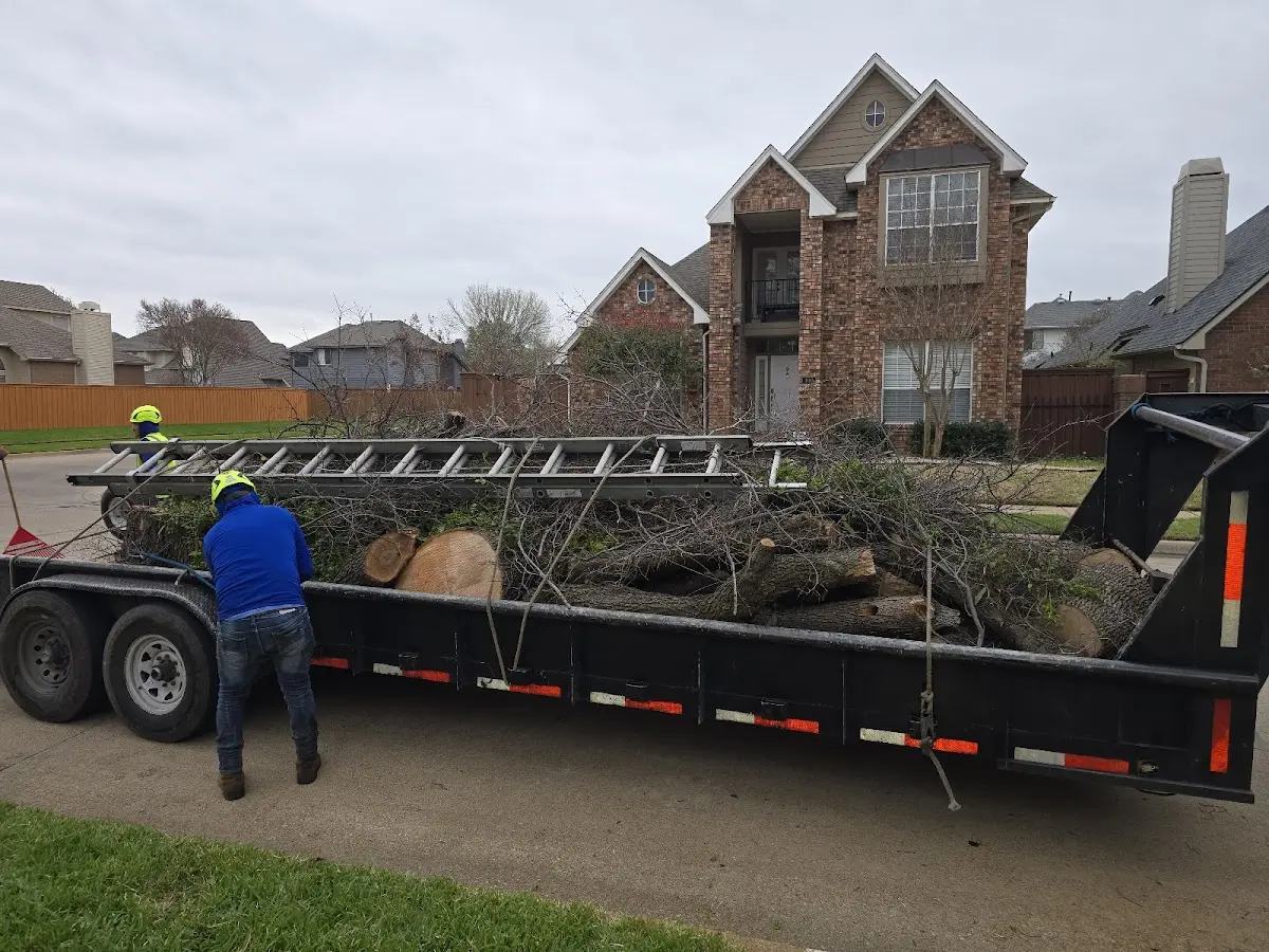 Expert Tree Fertilization with proper safety equipment in Bloomsbury